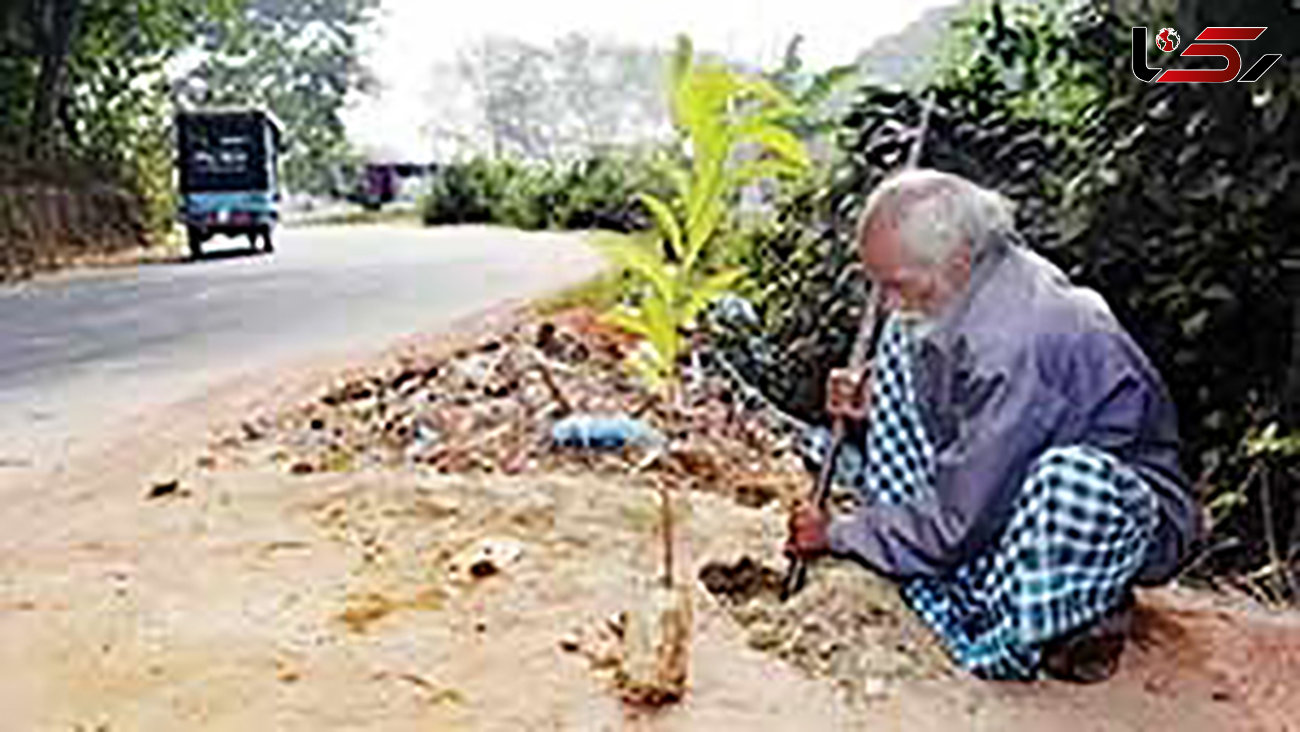 مردی که طی 48 سال هر روز یک درخت می‌کارد 