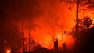 آتش سوزی هاوایی آمریکا /  ۳۸۸ نفر کشته یا مفقودشدند