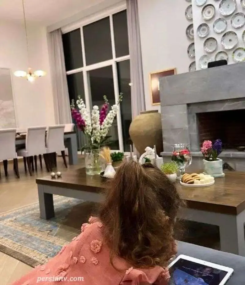 خانه فریبا نادری با دکوراسیونی آرام و شیک؛ ترکیب طوسی با پنجره های بزرگ + عکس