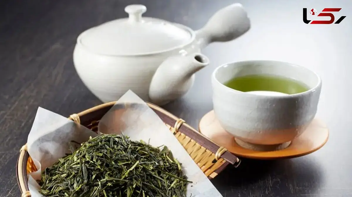 چای سبز؛ سپر محافظ شما در برابر ویروس‌ ها / از همین الان دم کنید!