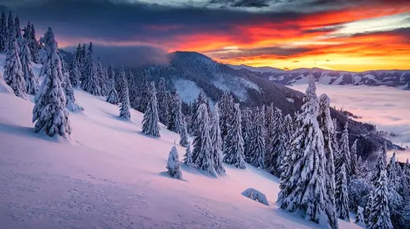 فال ابجد امروز / 13 بهمن + فیلم