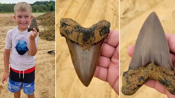 کشف جالب یک پسر بچه 8 ساله + عکس