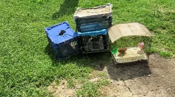 لو رفتن خانه شکارچیان بی رحم در اردبیل + عکس ها