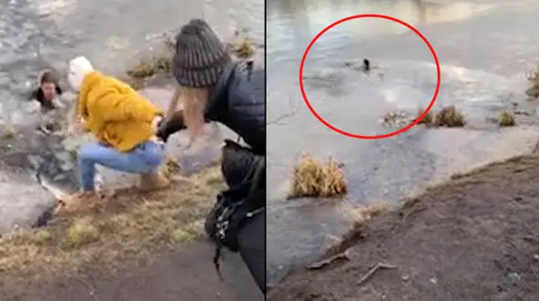 فداکاری زن جوان برای نجات یک سگ از رودخانه + فیلم