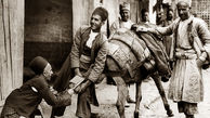 نعل کردن یک خر در دوران قاجار ! + عکس بامزه