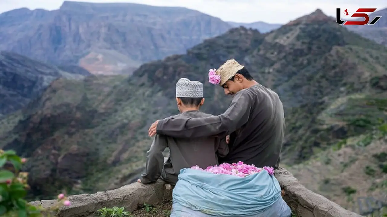 جبل‌ الاخضر عمان، مقصدی بی‌ نظیر برای فصل گلاب‌ گیری + عکس