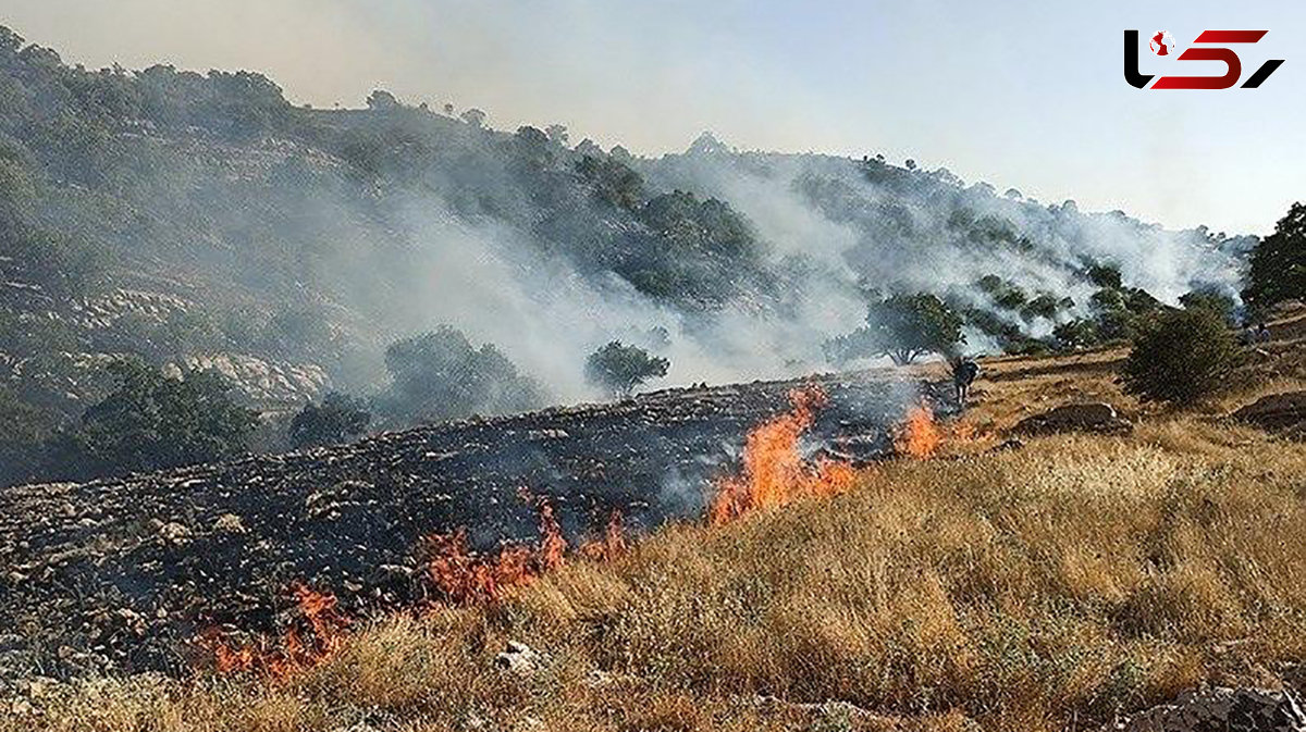 هیچ فردی در رابطه با آتش‌سوزی خائیز دستگیر نشده است 