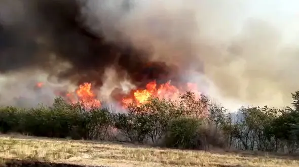 فیلم آتش سوزی عظیم در بخش کُهله و جایزان خوزستان