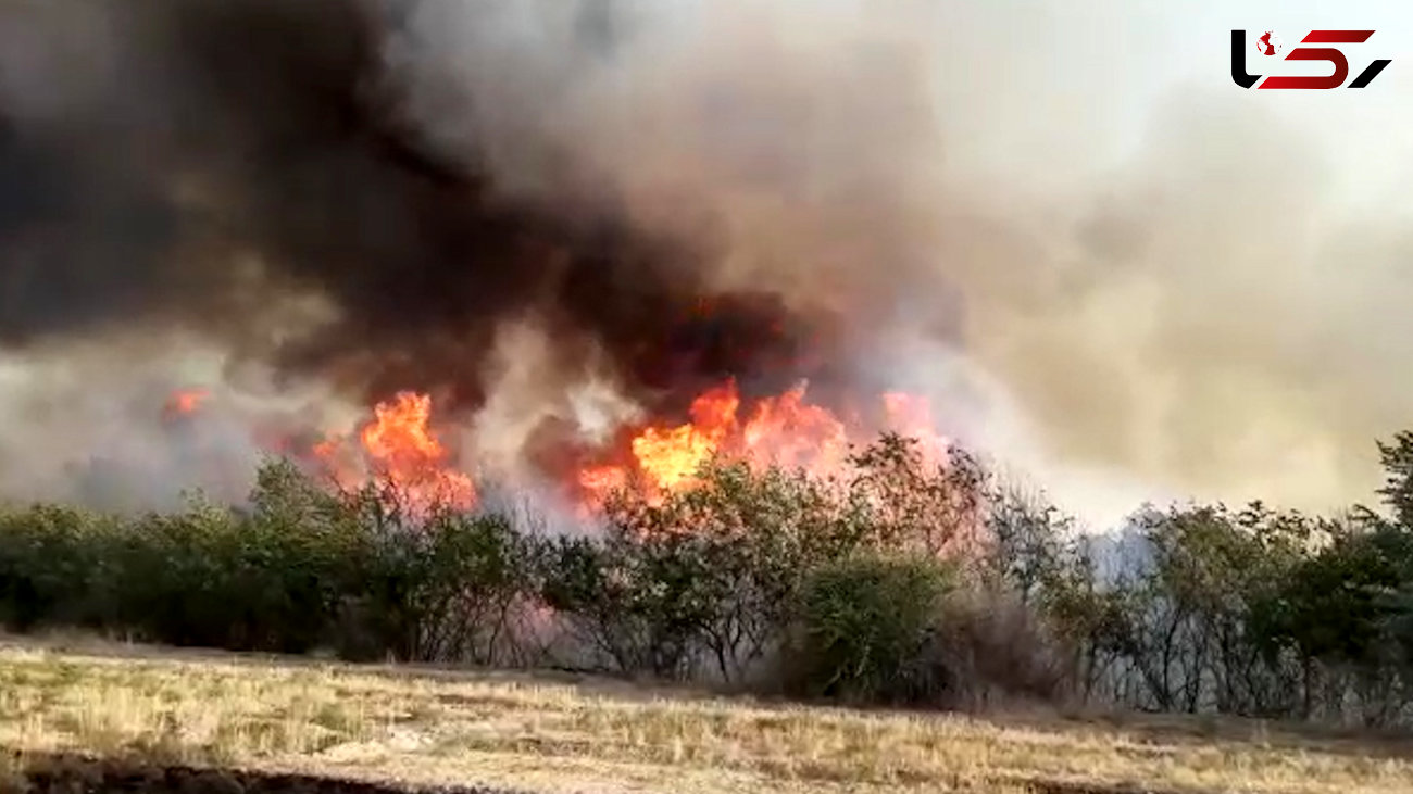 فیلم آتش سوزی عظیم در بخش کُهله و جایزان خوزستان