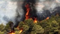 مهار آتش سوزی در بیش از 2 هکتار از جنگل‌های گیلان