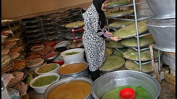 شاغلان مشاغل خانگی از مزایای بیمه صندوق روستاییان بهره‌مند می‌شوند