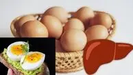 تخم‌ مرغ برای کبد مفید است یا مضر؟ واقعیت درباره تاثیر آن بر سلامت کبد