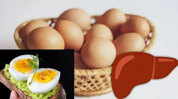 تخم‌ مرغ برای کبد مفید است یا مضر؟ واقعیت درباره تاثیر آن بر سلامت کبد