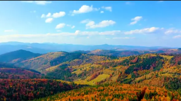 ببینید / نماهنگ "پاییز دلتنگی" با صدای "روزبه نعمت اللهی" وتصاویر زیبای پاییز + فیلم