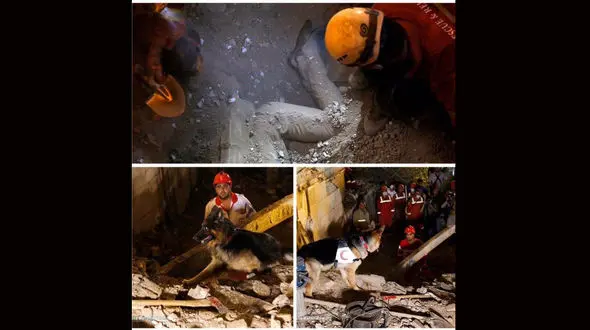 جسد زنده به گور شده یک تهرانی کشف شد+ عکس