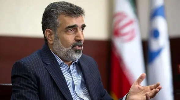 کمالوندی: ایران ممکن است سطح همکاری با آژانس را تغییر دهد؛ تصمیم‌گیری به تصویب قطعنامه بستگی دارد