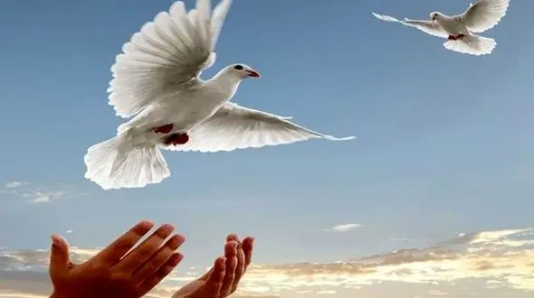 سرنوشت عجیب یک قاتل در خواجه / او از چوبه دار بازگشت