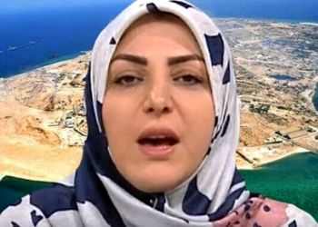 فیلم / نگاهی به تودهنی المیرا شریفی مقدم به گنده گویی اروپا در مورد جزایر سه گانه +  شما غلط میکنید!