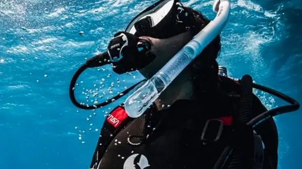 از زنبور داری تا زیر آب