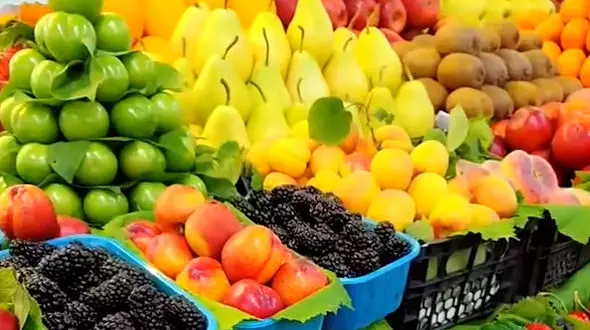 هیچ وقت برای شروع دیر نیست