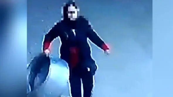 قابلمه‌ دزد بهارستان دستگیر شد + فیلم