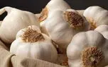 دستور تهیه سیر له‌ شده با عسل | اکسیر طبیعی سلامتی + فیلم