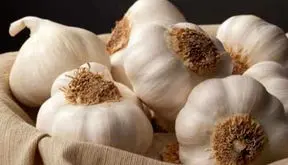 دستور تهیه سیر له‌ شده با عسل | اکسیر طبیعی سلامتی / فیلم