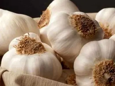 دستور تهیه سیر له‌ شده با عسل | اکسیر طبیعی سلامتی / فیلم