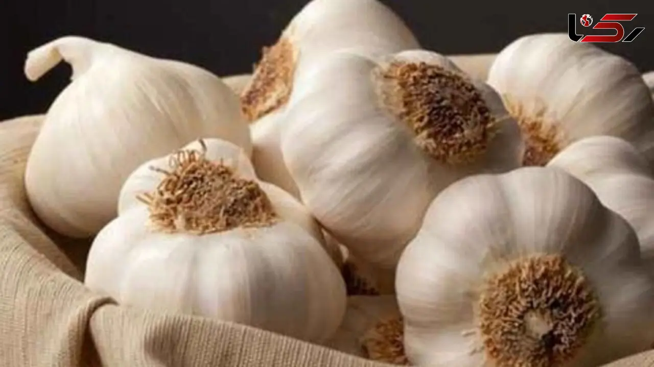 دستور تهیه سیر له‌ شده با عسل | اکسیر طبیعی سلامتی + فیلم