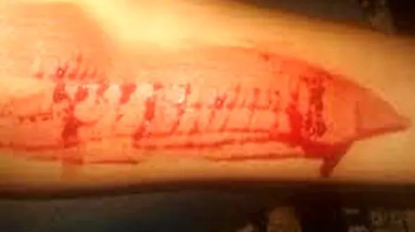 بازی خطرناک خون‌بازی و خودزنی در مدارس ایران ! + جزییات وحشتناک