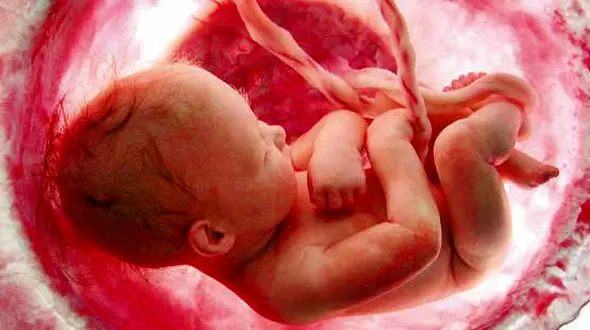  نقش فرزند اول در تعیین جنسیت فرزند دوم