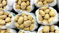 تولید سالانه ۶۰۰ هزار تُن سیب‌زمینی در شهرستان اردبیل