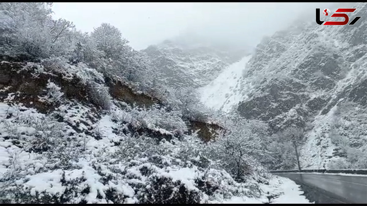 بارش برف در جاده چالوس