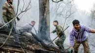 عامل آتش‌سوزی جنگل‌های هیرکانی دستگیر شد