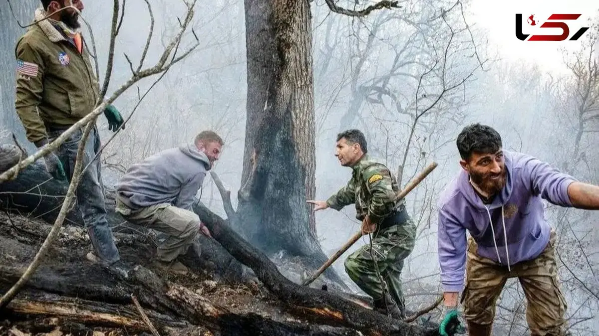 عامل آتش‌سوزی جنگل‌های هیرکانی دستگیر شد
