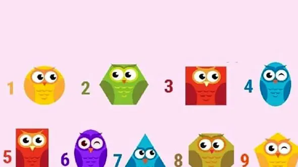 تست : کدام جغد را انتخاب می کنید