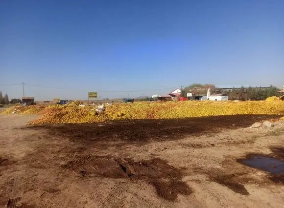 دریاچه‌ای که تشنه مرد، تا سیب‌ها سیراب بمانند/ الگوی کشت در ایران، قاتل است !  + فیلم