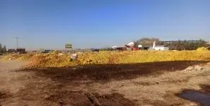 دریاچهای که تشنه مرد، تا سیبها سیراب بمانند/ الگوی کشت در ایران، قاتل است !  + فیلم