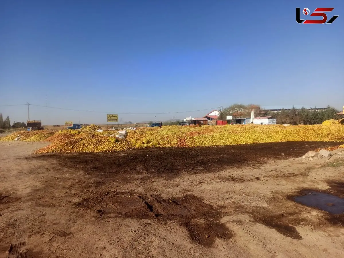 دریاچهای که تشنه مرد، تا سیبها سیراب بمانند/ الگوی کشت در ایران، قاتل است !  + فیلم