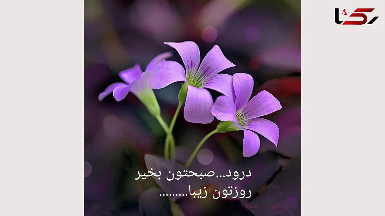فال ابجد امروز / 4 شهریور ماه + فیلم