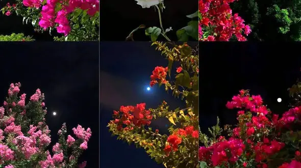 فال ابجد امروز شنبه 28 تیر