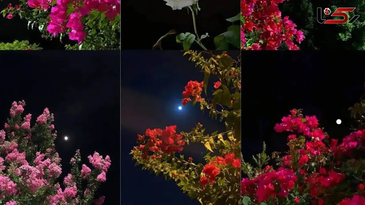 فال ابجد امروز شنبه 28 تیر