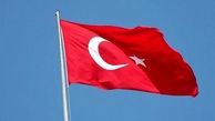 ترکیه یک آمریکایی عضو داعش را به کشورش بازگرداند