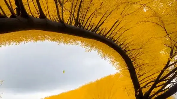 شجاعت، مقابله با ترس و سلطه بر آن است نه فقدانِ ترس