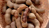 این میوه جراح طبیعی قلب شماست / کاهش خطر سکته با یک میوه ترش!