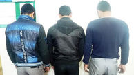 دزدان حرفه ای شکار دوربین مداربسته شدند + عکس