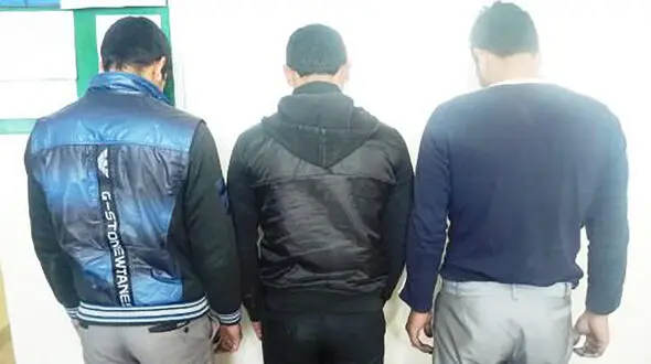 دزدان حرفه ای شکار دوربین مداربسته شدند + عکس