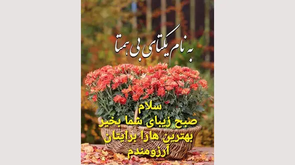 فال ابجد امروز / 29 شهریور + فیلم 