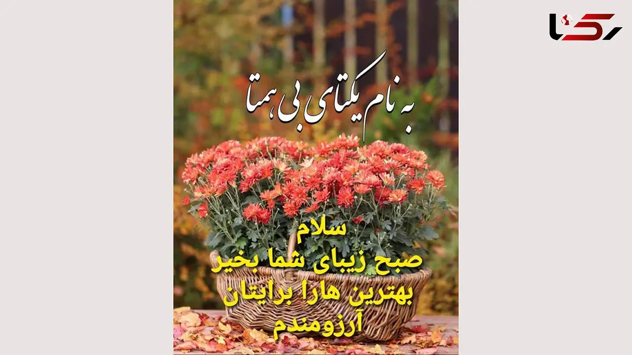 فال ابجد امروز / 29 شهریور + فیلم 