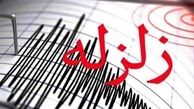 زلزله ۶.۱ ریشتری نیوزیلند را لرزاند